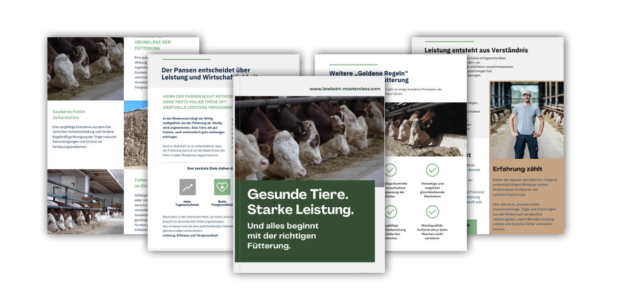 Bildschirmfoto 2026-01-17 um 17.20.01